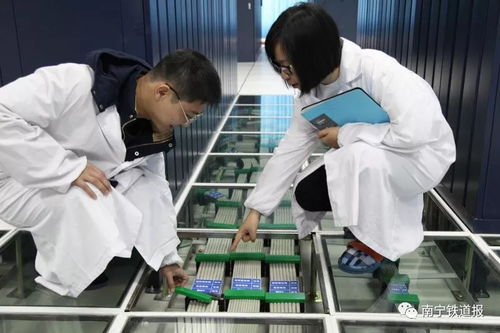 打造通信网络“千里眼” 通讯设备修理的核心价值与技术实践